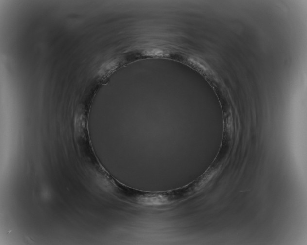 X0000085770322200703301409