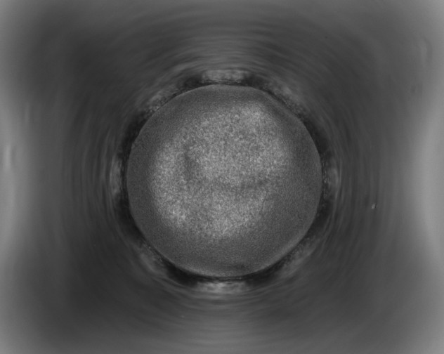 X0000085770323200703301409