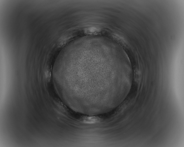 X0000085770324200703301409