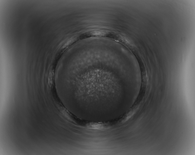 X0000085770325200703301409