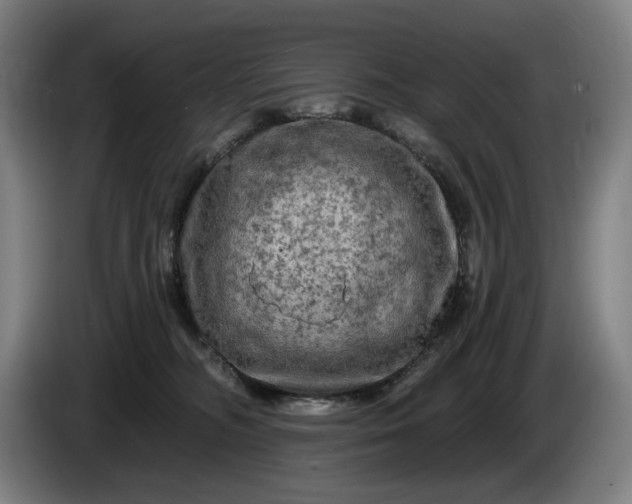 X0000085770326200703301409