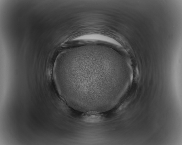 X0000085770329200703301409