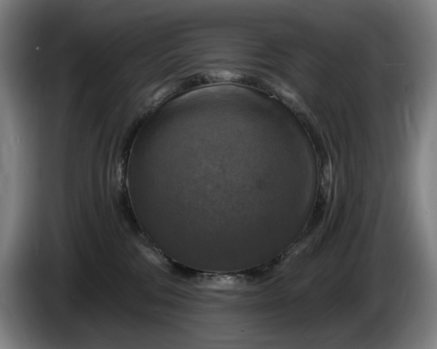 X0000085770330200703301409