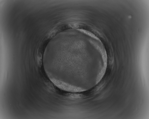 X0000085770332200703301409