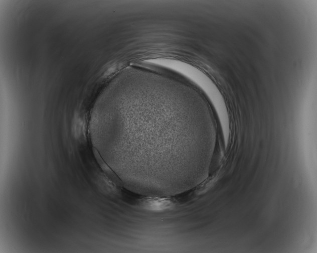 X0000085770333200703301409