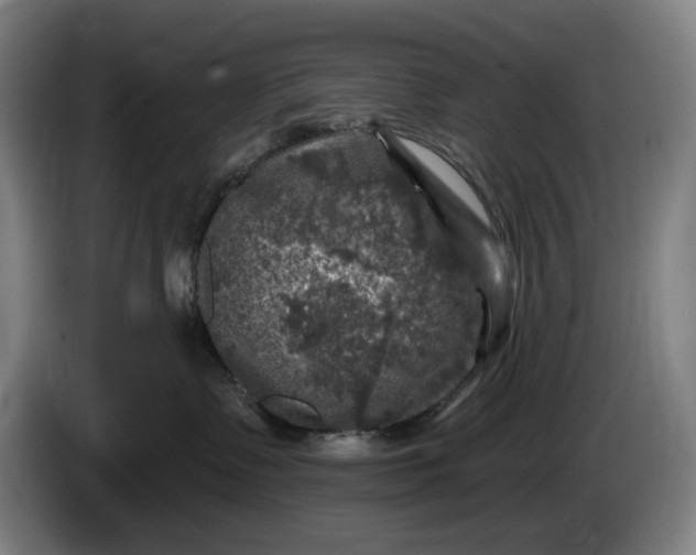 X0000085770335200703301409