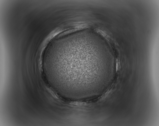 X0000085770339200703301408