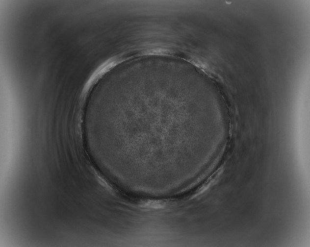 X0000085770341200703301408