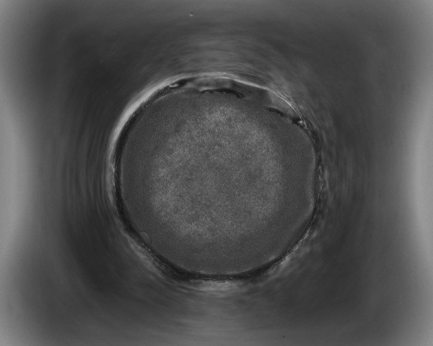 X0000085770342200703301408