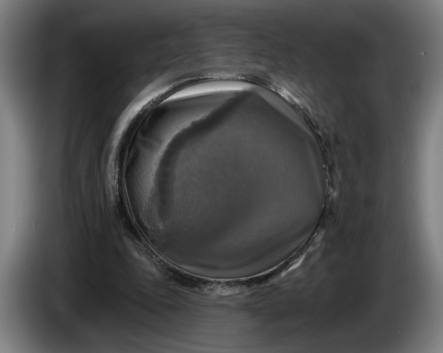 X0000085770343200703301408