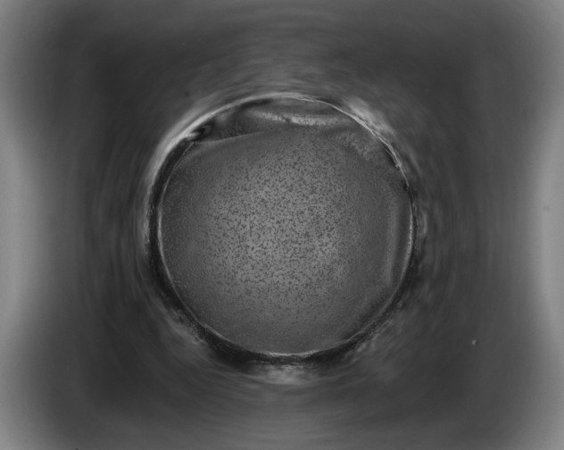 X0000085770344200703301408