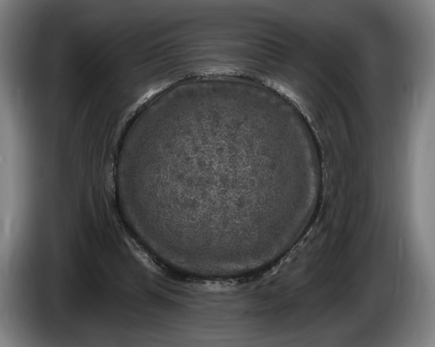 X0000085770345200703301408