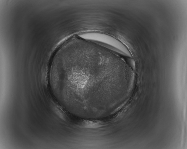 X0000085770346200703301408