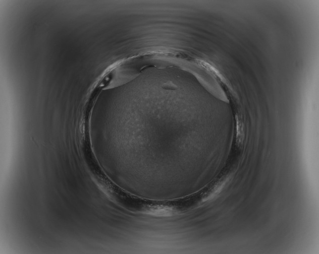 X0000085770348200703301408