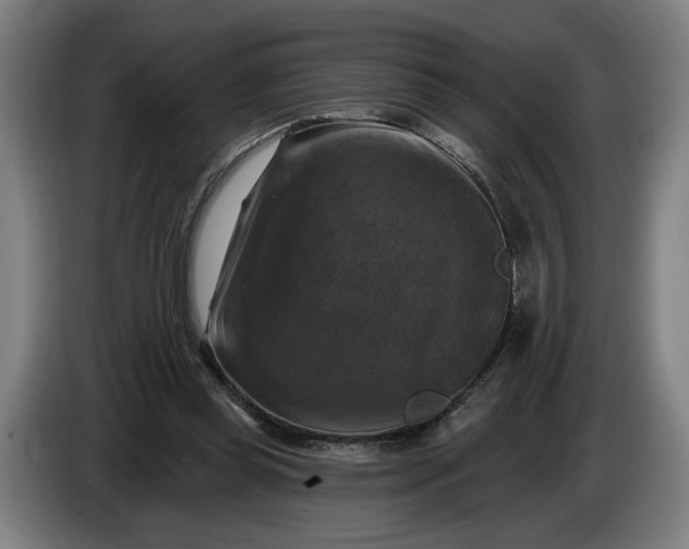 X0000085770349200703301408