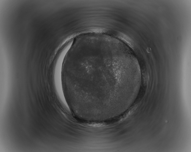 X0000085770350200703301408