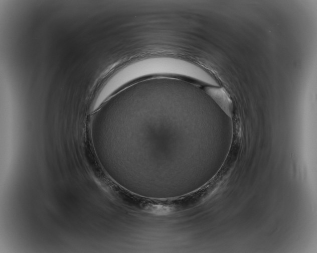 X0000085770352200703301408