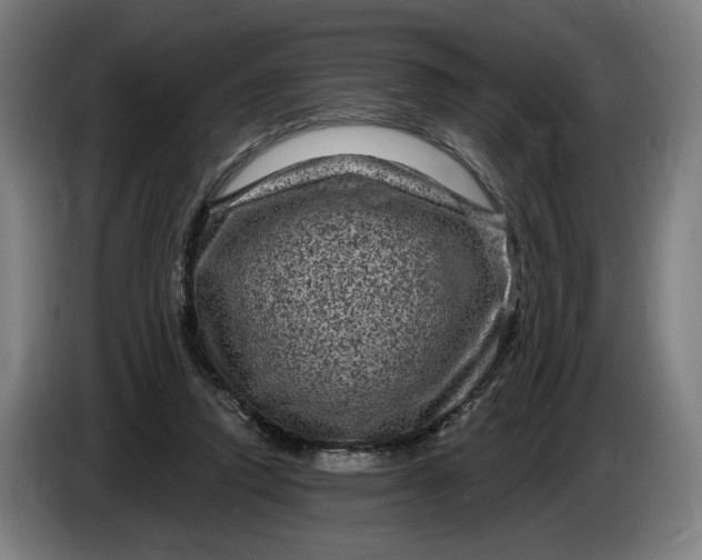 X0000085770354200703301408