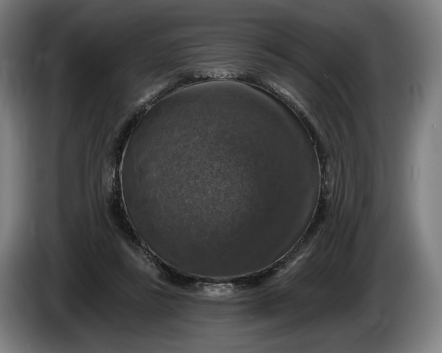 X0000085770355200703301408