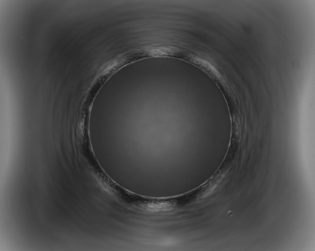 X0000085770357200703301408