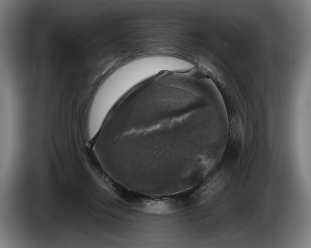 X0000085770358200703301408