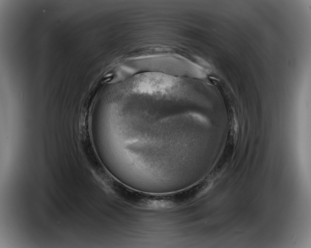 X0000085770360200703301408