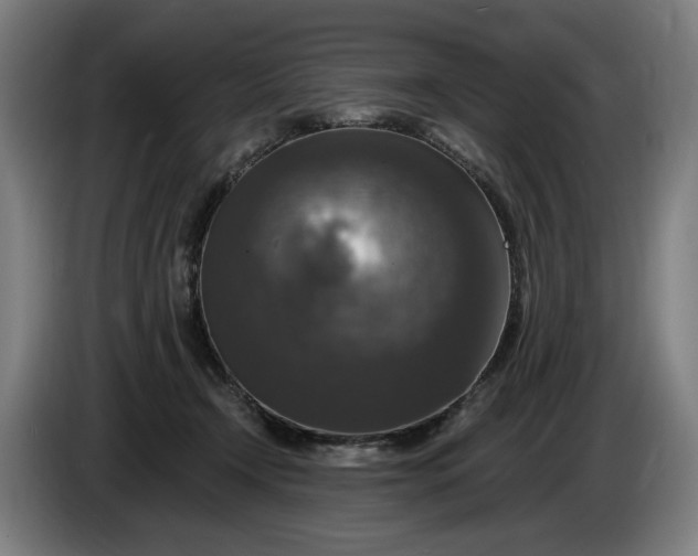 X0000085770366200703301408