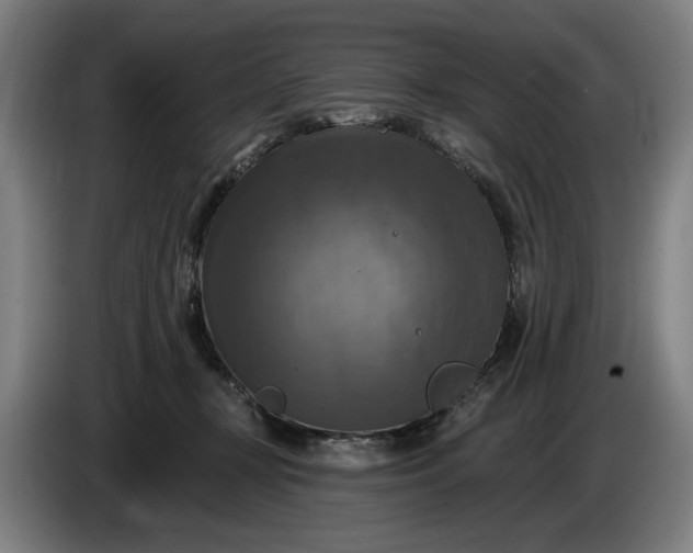 X0000085770367200703301408