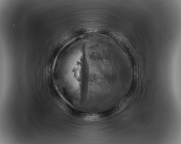 X0000085770369200703301408