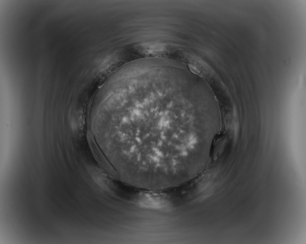 X0000085770372200703301408