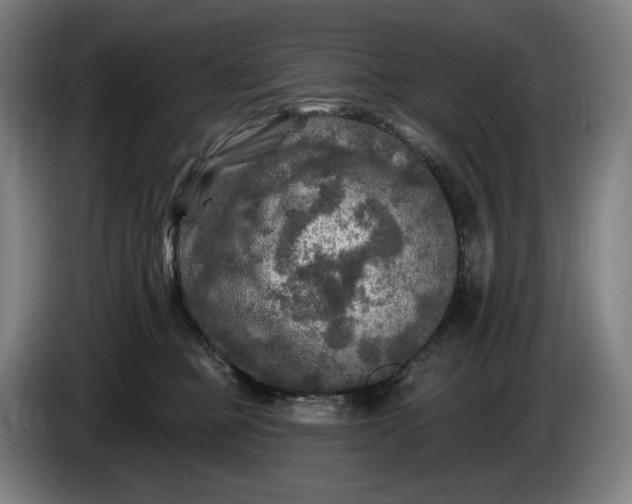 X0000085770373200703301408