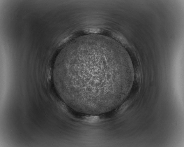 X0000085770374200703301408