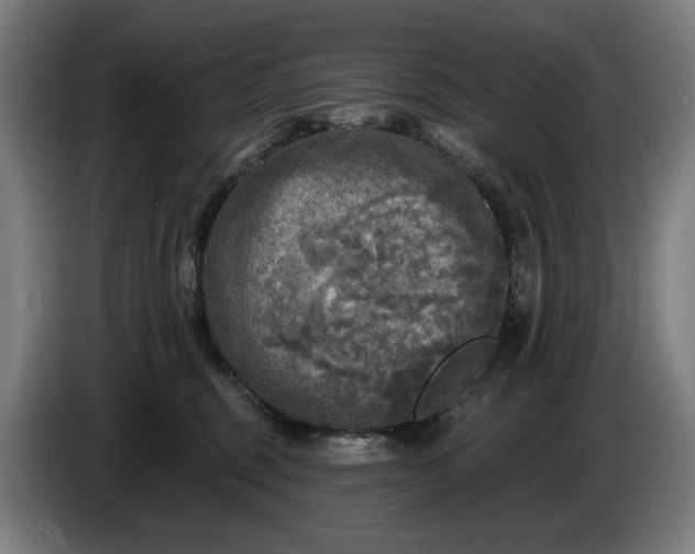 X0000085770375200703301408