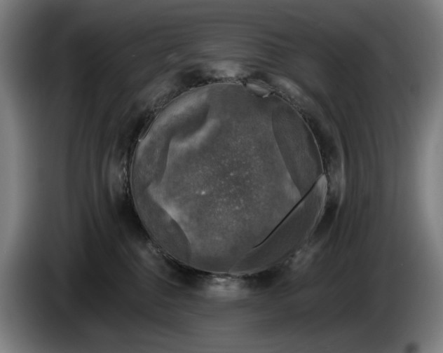 X0000085770376200703301408