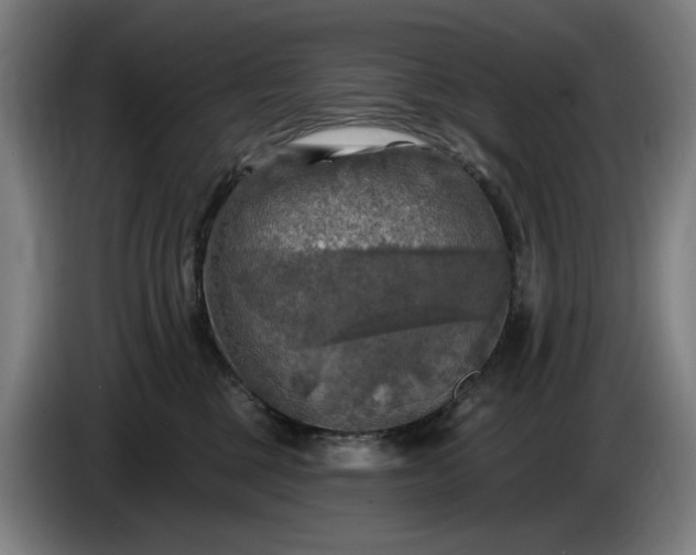 X0000085770377200703301408