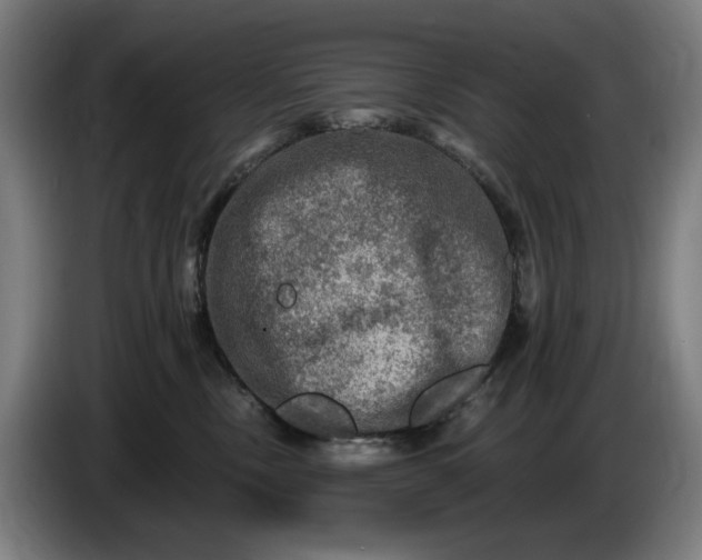 X0000085770378200703301408