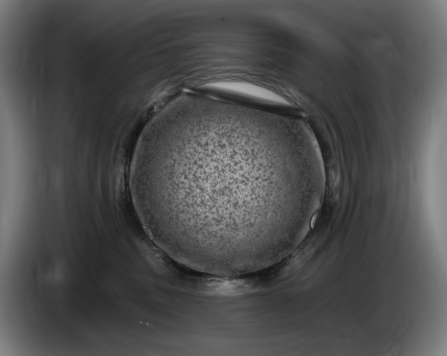 X0000085770379200703301408