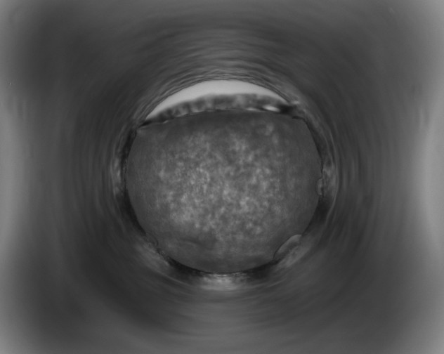 X0000085770381200703301409