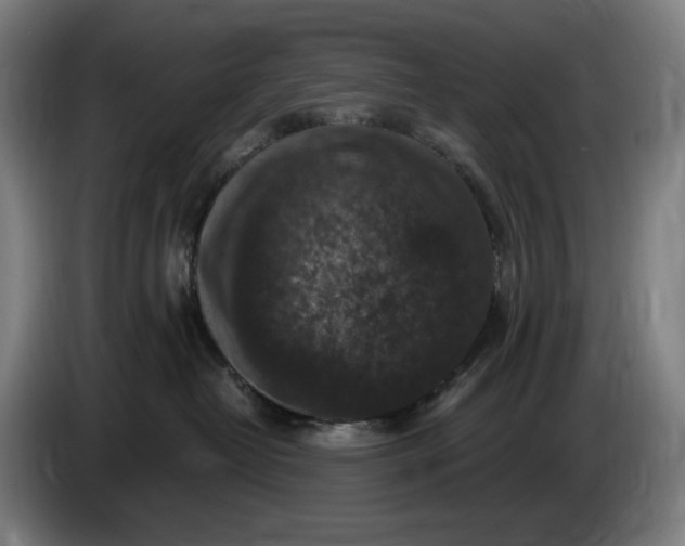 X0000085770382200703301409