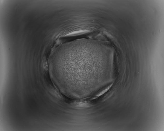 X0000085770384200703301409