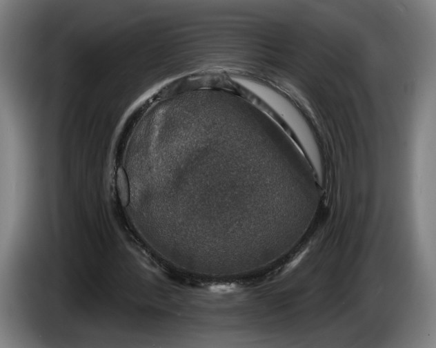 X0000085770388200703301408