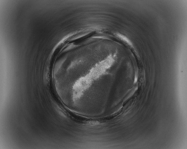 X0000085770392200703301408