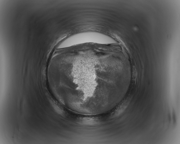 X0000085770394200703301408