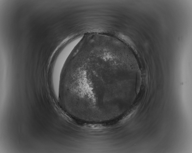 X0000085770395200703301408