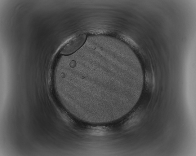 X0000085770396200703301408