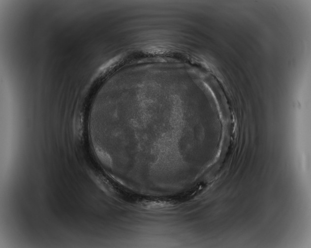 X0000085770400200703301408