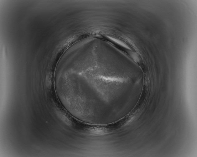 X0000085770402200703301408