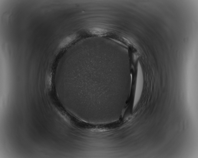 X0000085770404200703301408