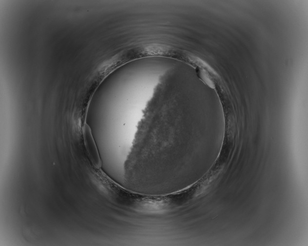 X0000085770405200703301408