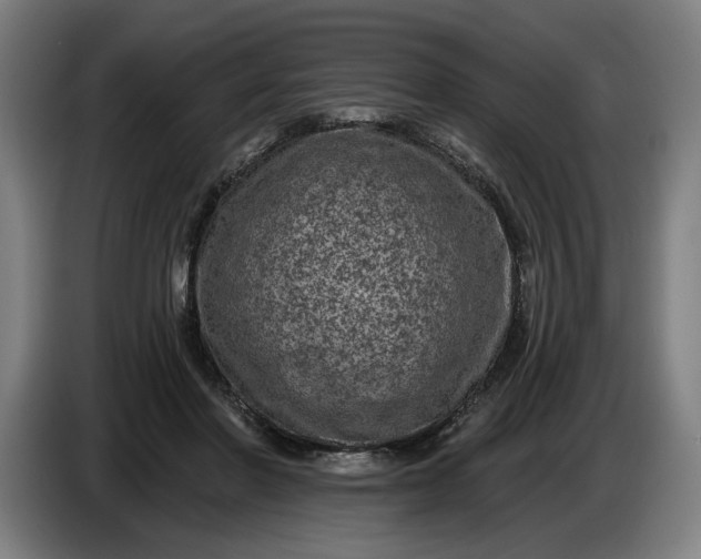 X0000085770406200703301408